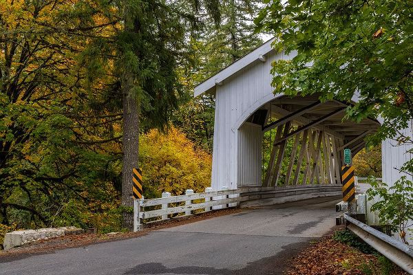 Haney, Chuck 아티스트의 Hannah Covered Bridge spans Thomas Creek in Linn County-Oregon-USA작품입니다.